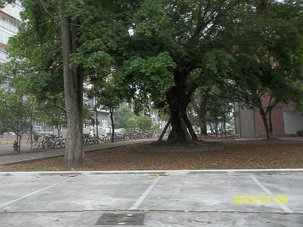 100_3294.JPG 100_3294.JPG