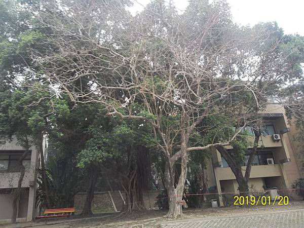 100_3300.JPG 100_3300.JPG