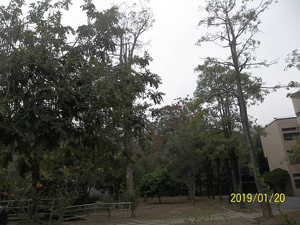 100_3304.JPG 100_3304.JPG