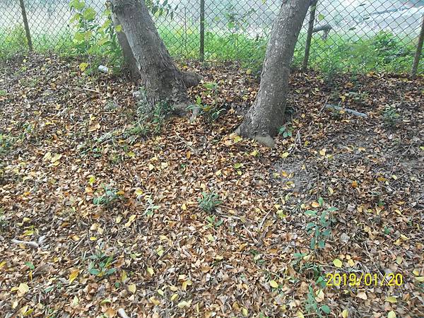 100_3307.JPG 100_3307.JPG