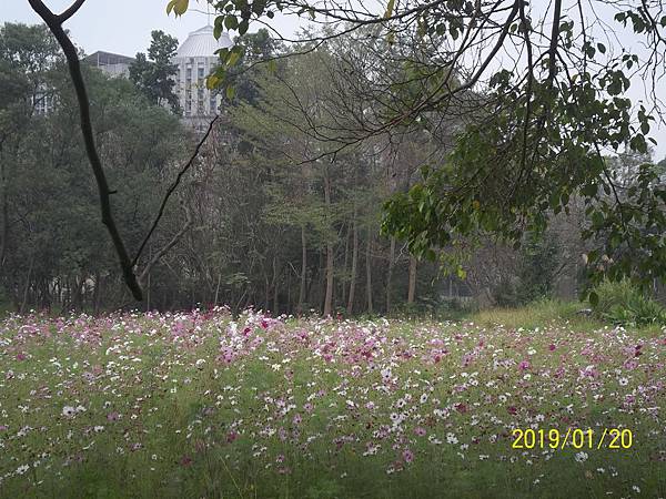 100_3308.JPG 100_3308.JPG