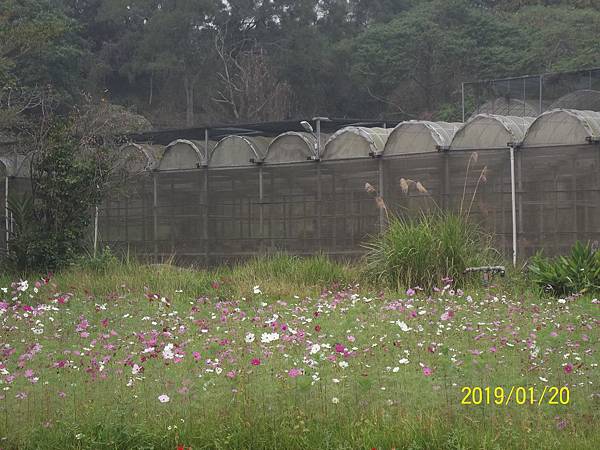 100_3310.JPG 100_3310.JPG