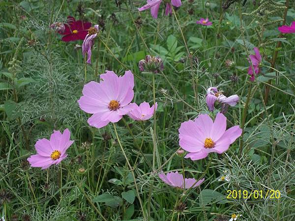 100_3311.JPG 100_3311.JPG