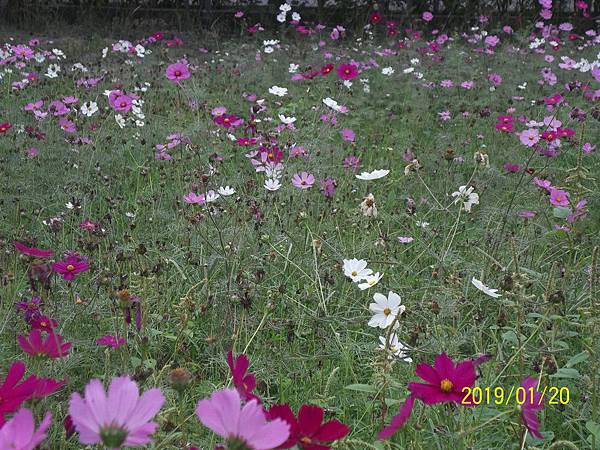 100_3313.JPG 100_3313.JPG