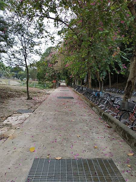 IMG_20190119_152001.jpg IMG_20190119_152001.jpg