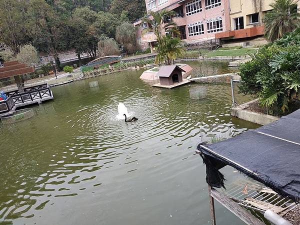 IMG_20190119_155822.jpg IMG_20190119_155822.jpg