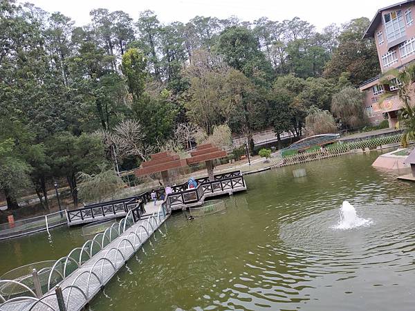 IMG_20190119_155835.jpg IMG_20190119_155835.jpg