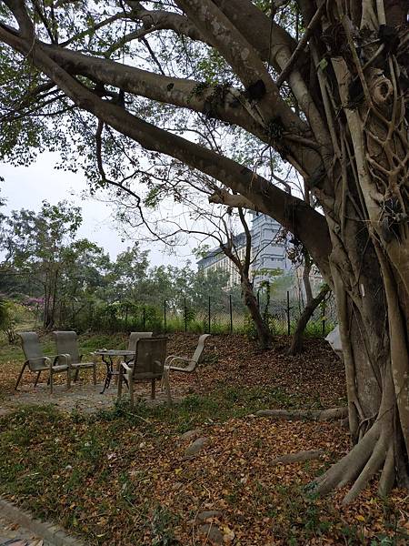 IMG_20190120_084434.jpg IMG_20190120_084434.jpg