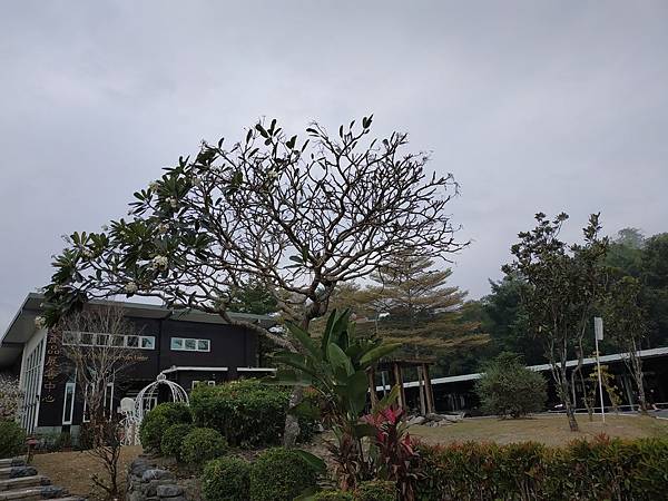 IMG_20190120_095342.jpg IMG_20190120_095342.jpg