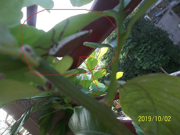 100_3512.JPG 100_3512.JPG