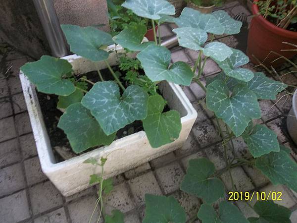 100_3511.JPG 100_3511.JPG