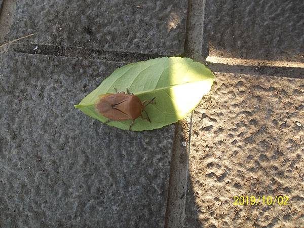 100_3513.JPG 100_3513.JPG