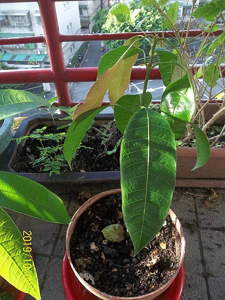 100_3514.JPG 100_3514.JPG