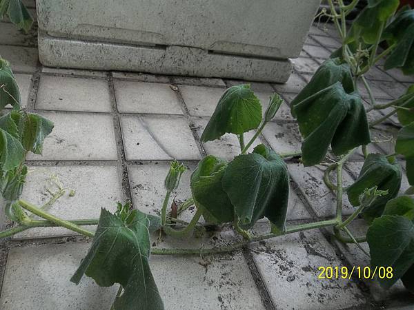 100_3538.JPG 100_3538.JPG