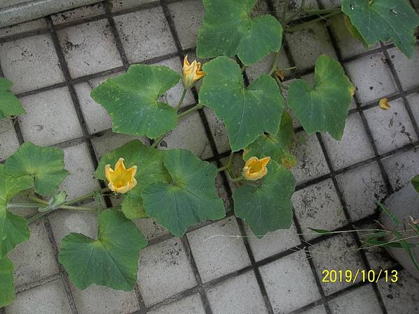 100_3555.JPG 100_3555.JPG