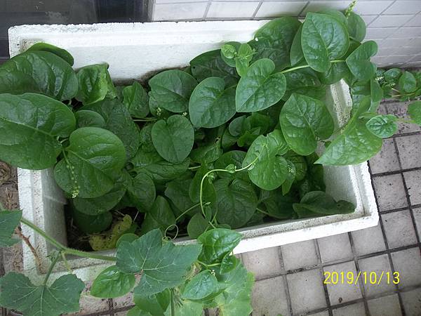 100_3556.JPG 100_3556.JPG