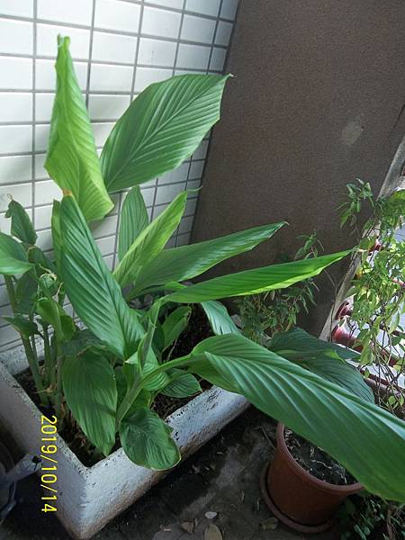 100_3559.JPG 100_3559.JPG