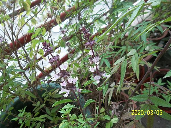 100_3702.JPG 100_3702.JPG