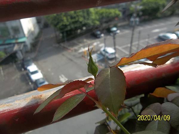 100_3736.JPG 100_3736.JPG