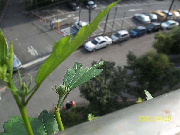 100_3735.JPG 100_3735.JPG