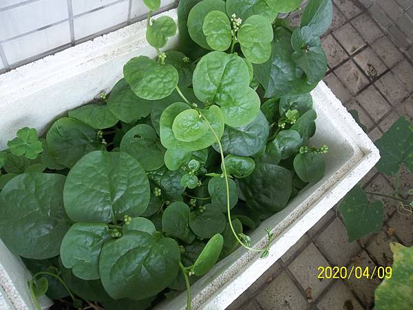 100_3739.JPG 100_3739.JPG