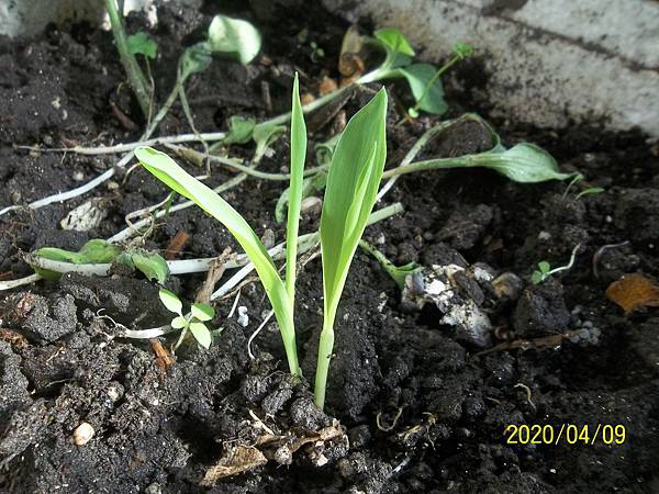 100_3737.JPG 100_3737.JPG