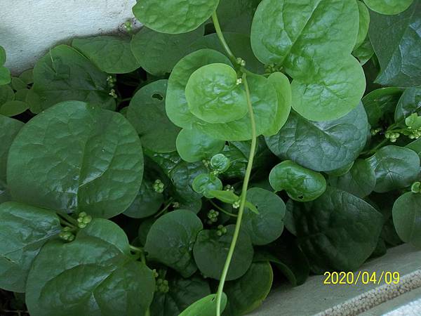 100_3738.JPG 100_3738.JPG