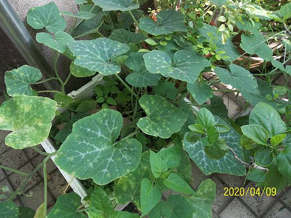 100_3740.JPG 100_3740.JPG