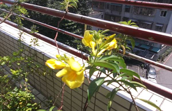 100_3751.JPG 100_3751.JPG