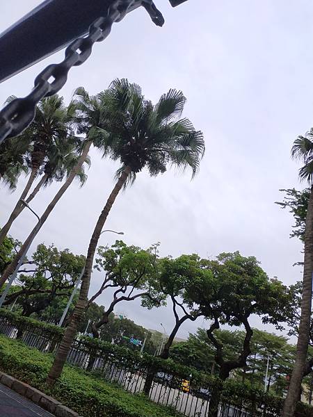 IMG_20200926_144701.jpg IMG_20200926_144701.jpg