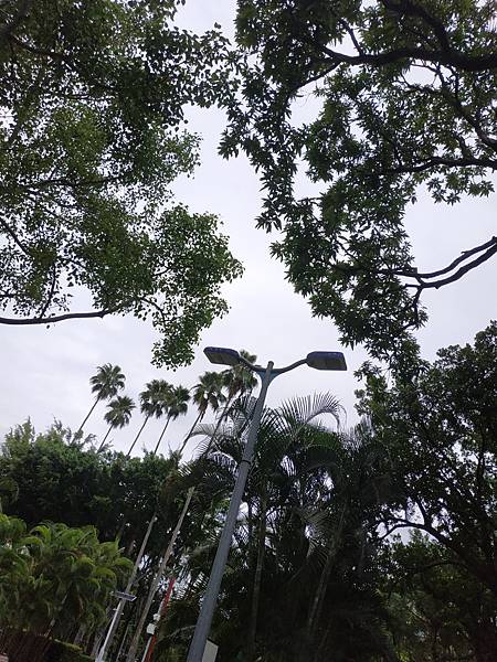 IMG_20200926_144816.jpg IMG_20200926_144816.jpg