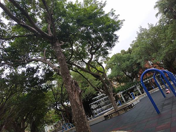 IMG_20200926_144810.jpg IMG_20200926_144810.jpg