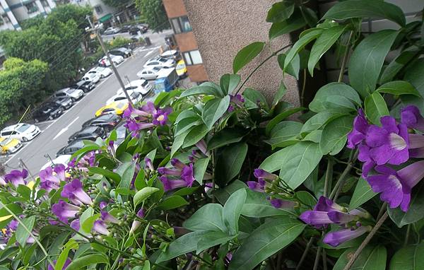 100_3901.JPG 100_3901.JPG