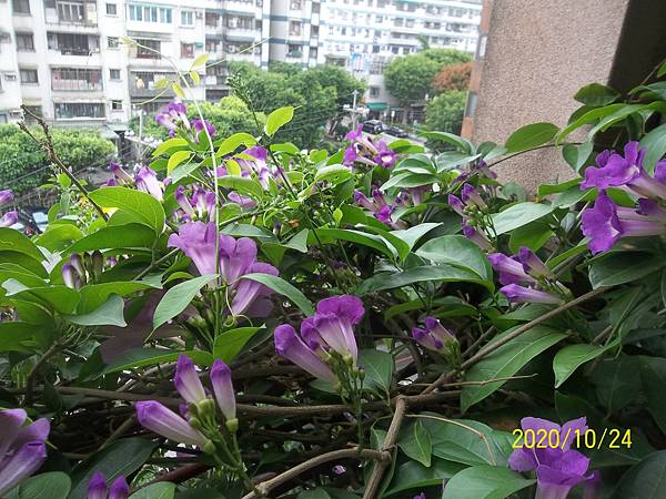 100_3899.JPG 100_3899.JPG