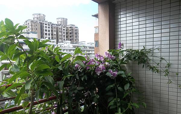 100_3911.JPG 100_3911.JPG