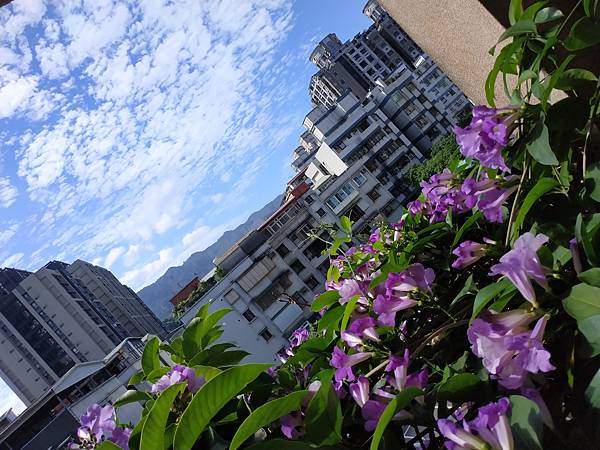 IMG_20201025_094106.jpg IMG_20201025_094106.jpg