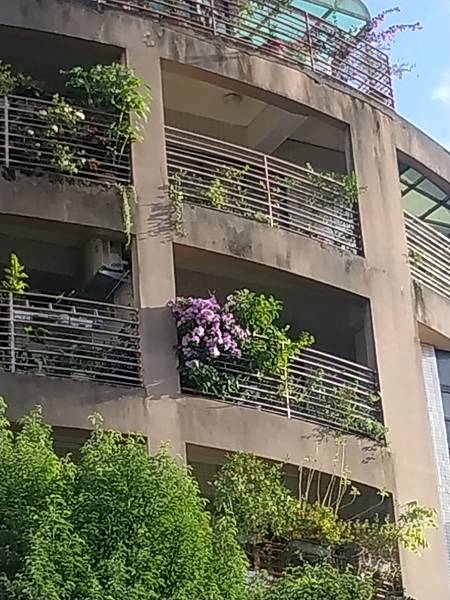 IMG_20201026_073511.jpg IMG_20201026_073511.jpg