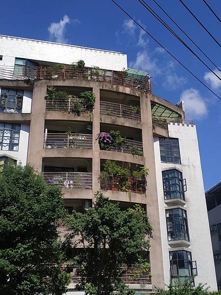 IMG_20201026_121403.jpg IMG_20201026_121403.jpg