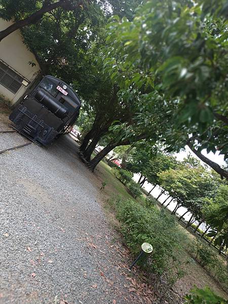 IMG_20201017_130907.jpg IMG_20201017_130907.jpg