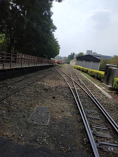 IMG_20201017_131049.jpg IMG_20201017_131049.jpg