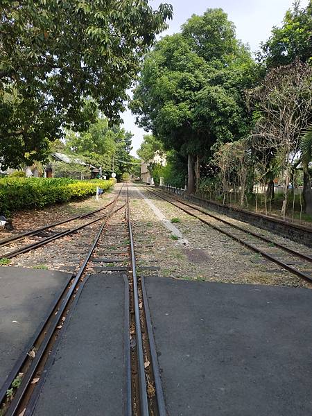 IMG_20201017_131055.jpg IMG_20201017_131055.jpg