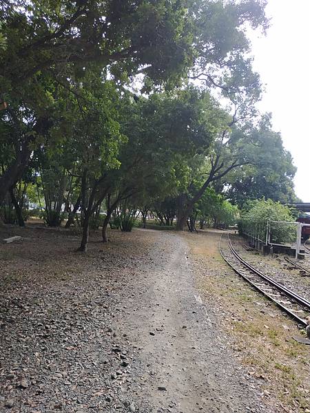 IMG_20201017_135733.jpg IMG_20201017_135733.jpg