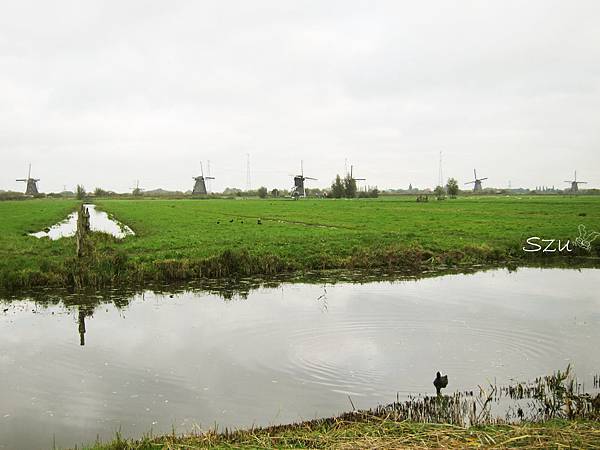 kinderdijk