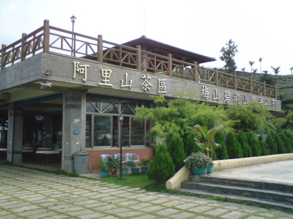 碧湖山茶園