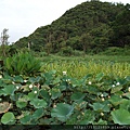 20110615內湖一日遊035.jpg