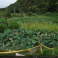 20110615內湖一日遊036.jpg