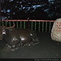 20110615內湖一日遊045.jpg