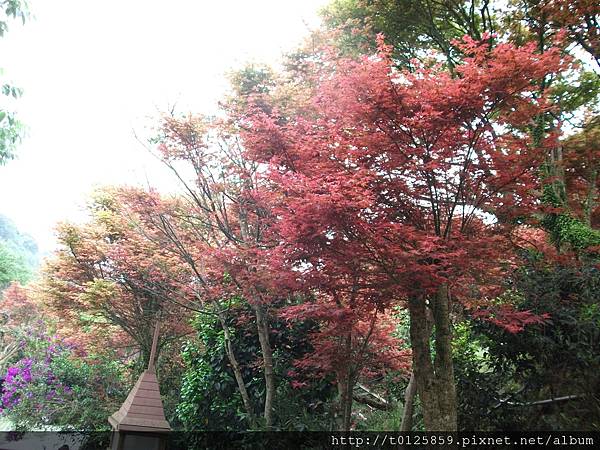 20120410台北奧萬大 036