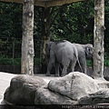 20120624木柵動物園 018