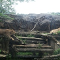 20120624木柵動物園 024